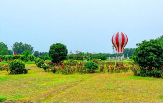 開(kāi)云體彩(中國(guó))科技有限公司