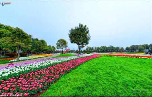 開(kāi)云體彩(中國(guó))科技有限公司